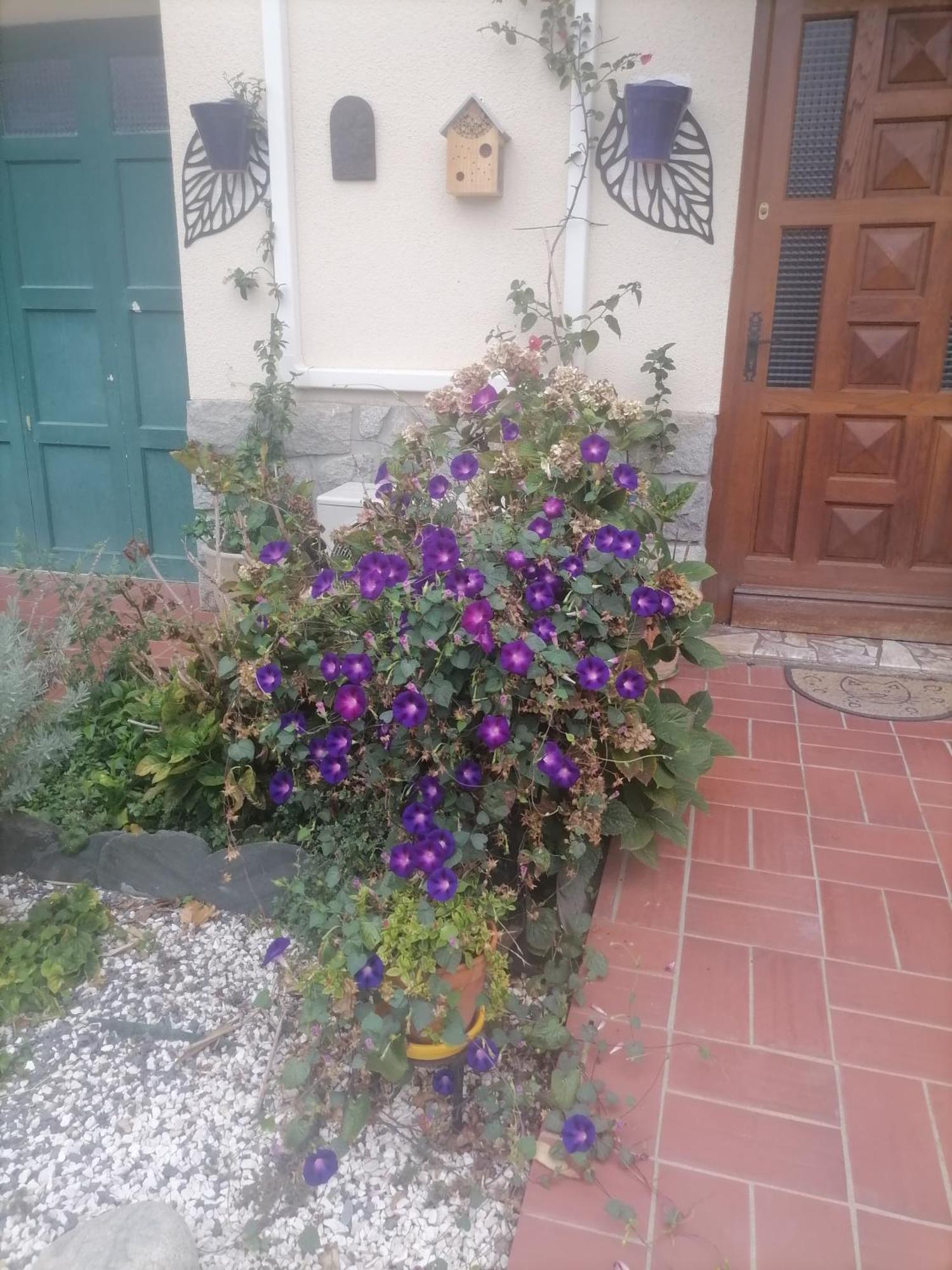Maison Du Soleil Prades Kültér fotó